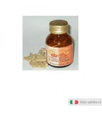 Fibromix Abros 60cps 24g