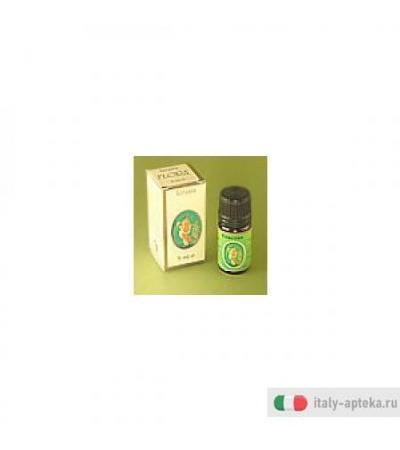 Finocchio Dolce Olio Ess 5ml