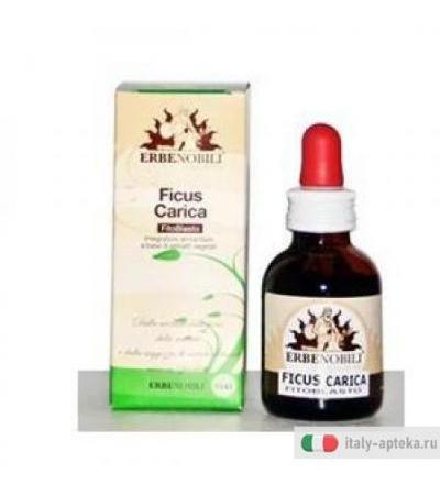Fitoblasto Ficus Carica 50ml