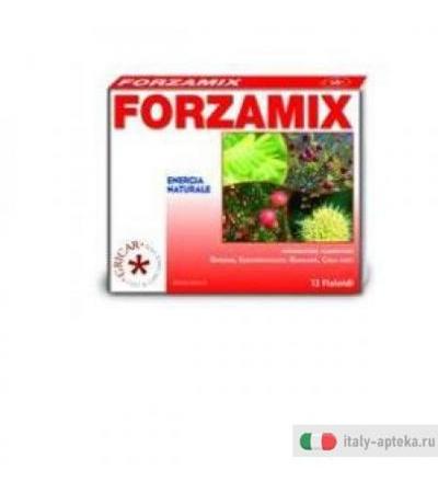 Forzamix 12f 120ml