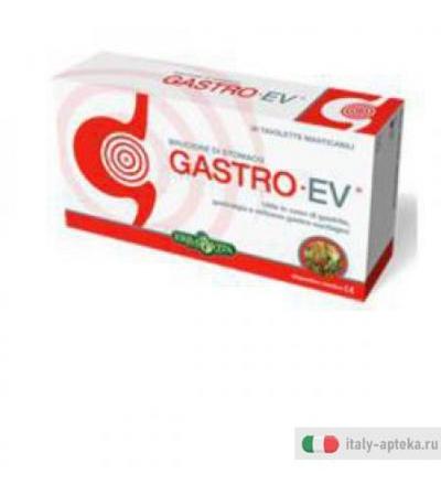 Gastro Ev 30tav