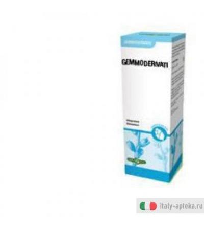 Gemmoderivato Olivo 50ml