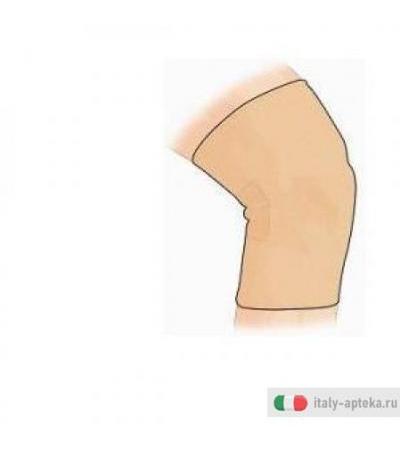 Gibaud Ginocch Sport Camel 3