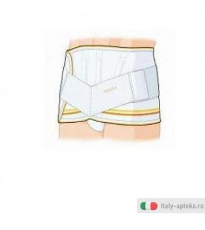 Gibaudortho Cint Addom Stecc 2