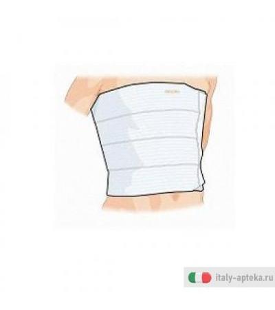 Gibaudortho Cint Tor Reg 4b 1