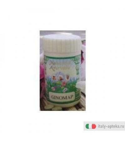 Ginomap 60tav