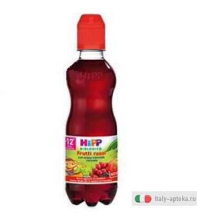 Hipp Frutta Splash Frut Ro 300
