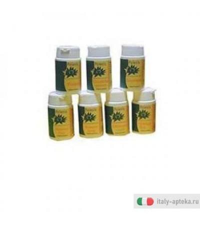 Immunoforte Poiesis Integ 40op