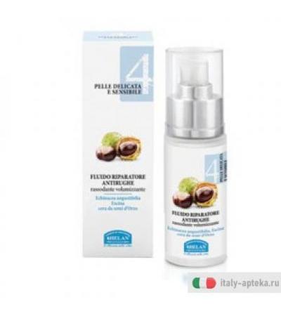 Linea 4 Fluido Riparat Antir