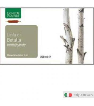 Linfa di Betulla Bio 20ab 15ml