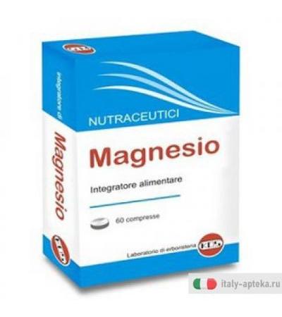 Magnesio Integrat 60cpr Mastic