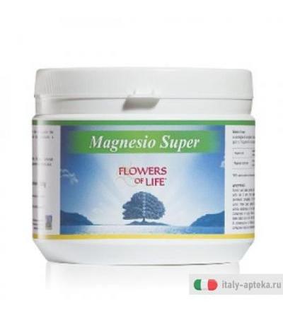 Magnesio Super 300g Flowers