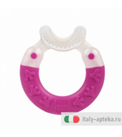 MAM Bite&Brush Dentaruolo + 3 mesi