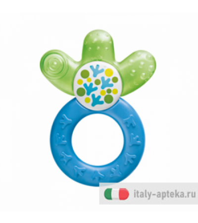 MAM Cooler Dentaruolo + 4 mesi