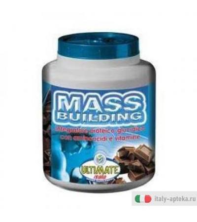 Mass Building Fra 1,8kg