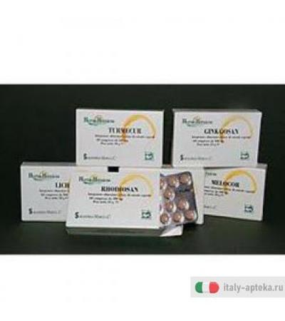 Melocor 60cpr 500mg
