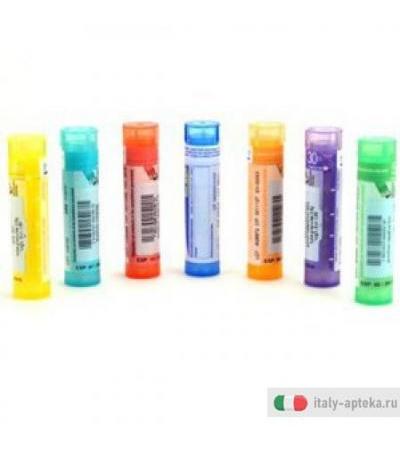 Mercurius Solub Sgl 30ch 4g Gr