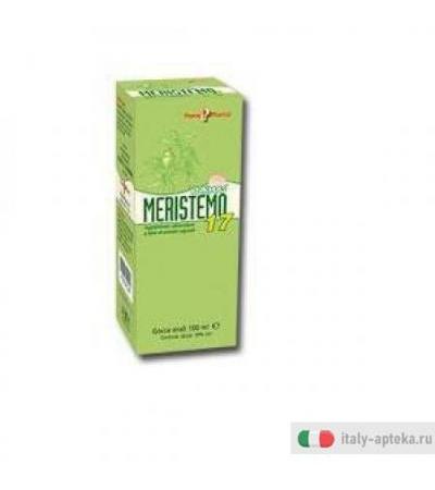 Meristemo Ynkhas 17 100ml