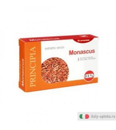 Monascus Estr Sec 60cpr