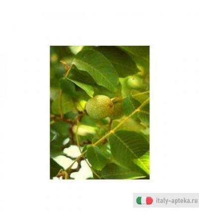 Msa Prunus Amygdalus 50ml