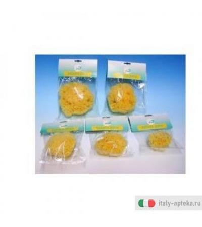 Natura Pura Spug Nat 10 Bust