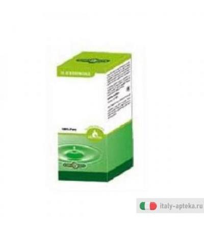 Origano Spagna Olio Ess 10ml