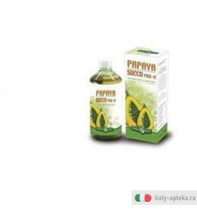 Papaya Succo 500ml