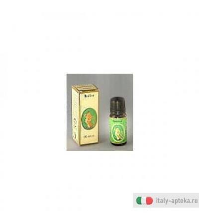 Pino Silvestre Olio Ess 10ml