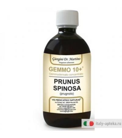 Prugnolo 500ml Analco Gemmo10+