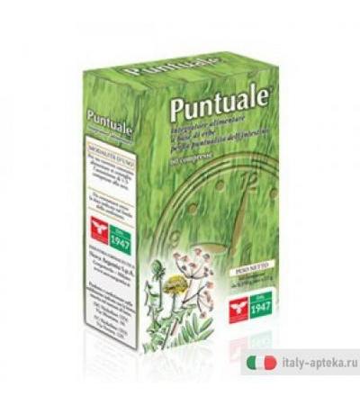 Puntuale 60cpr