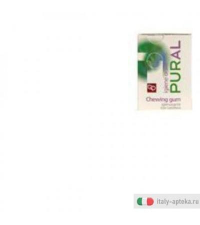 Pural Chewing Gum Ig 14g