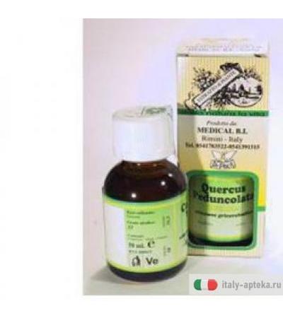 Quercus Ped Dr Pock Sol Glic50