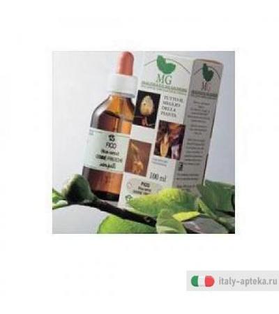 Ribes 100ml Mg