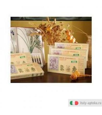 Ruscus Acul Comp 12f Stv