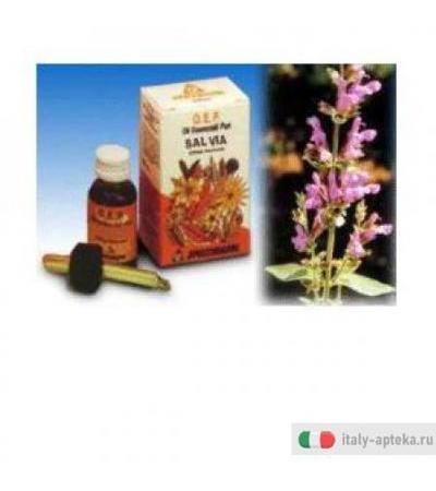 Salvia Fgl Olio Ess Puro 10ml