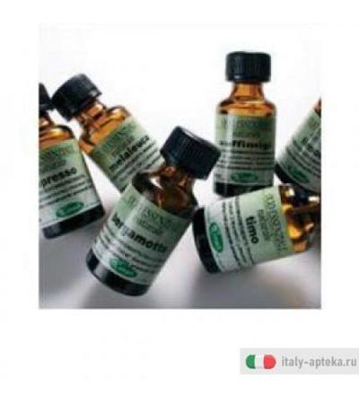 Santoreggia Olio Ess 15ml