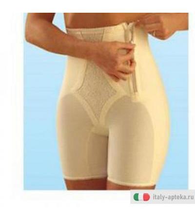 Scudotex Guaina Mir Ber Cham10