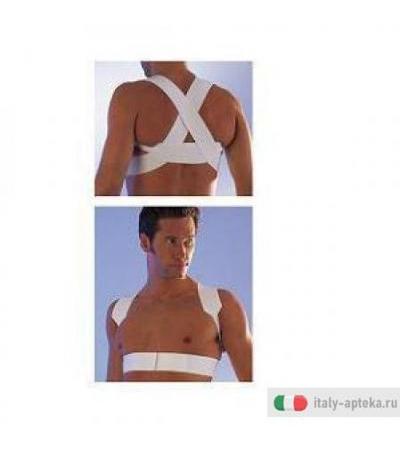 Scudotex Raddrizzasp 1 621