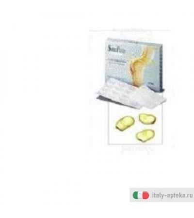 Snell Patch Progress Cer 14pz