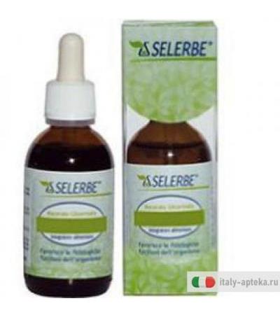 Tilia Tomentosa 50ml Mg