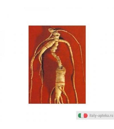 Tsa Panax Ginseng 50m