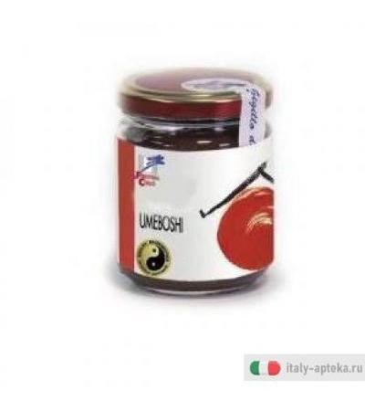 Umeboshi Ryujin Bio 100g