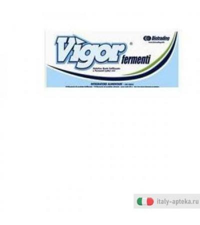 Vigor Fermenti Lattici 83g