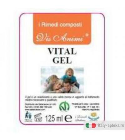 Vital Gel 125ml Vis Animi