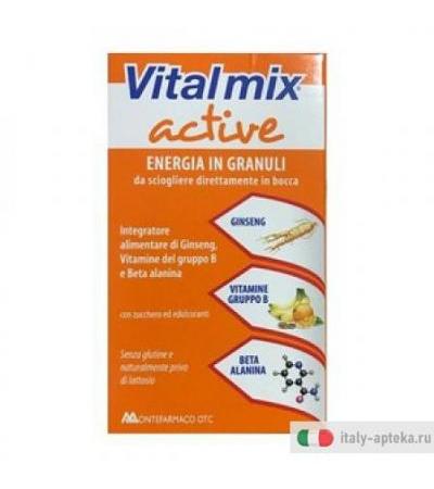 Vitalmix Active 14bust 21g
