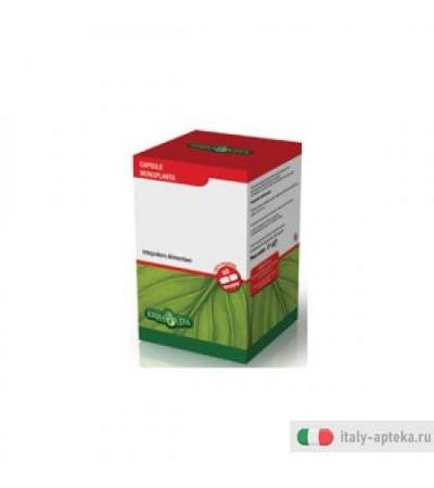 Vite rossa 60 capsule