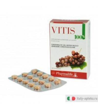 Vitis 100% 60cpr