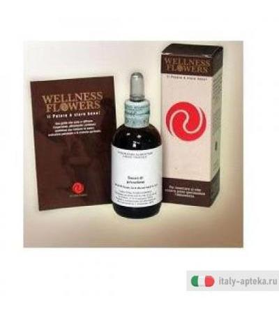 Wellness Flowers Int N8 50ml
