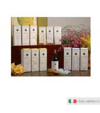 Zef12 Belson Plant Stv