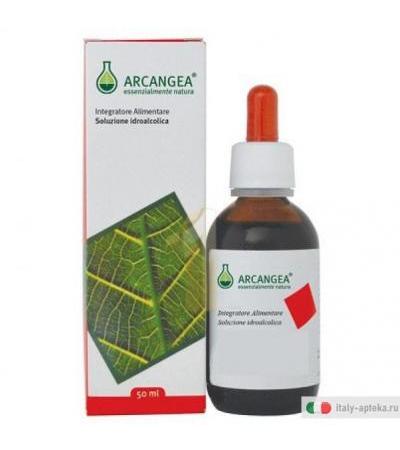 Arcangea Ficus Carica Gemmoderivati 100ml